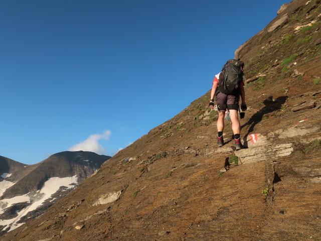 Hohe-Dock-Klettersteig: Ronald (15. Aug.)