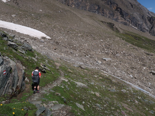Ronald zwischen Remsschartl und Schwarzenbergh&uuml;tte (15. Aug.)