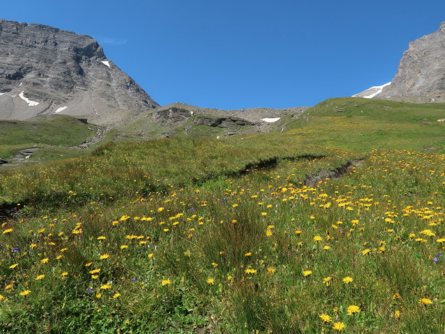 zwischen Remsschartl und Schwarzenbergh&uuml;tte (15. Aug.)