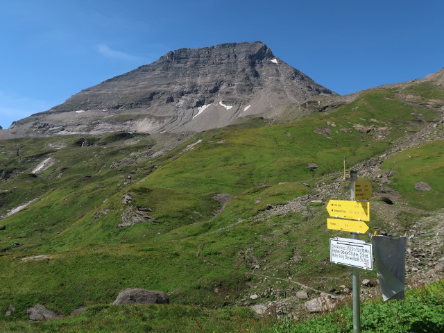 Hohe Dock von der Schwarzenbergh&uuml;tte aus (15. Aug.)