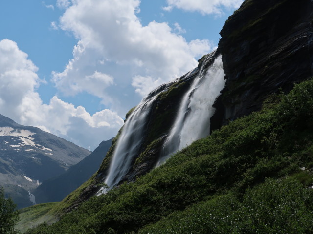 neben dem Mainzer Weg zwischen Boggeneigraben und Zellermahder (15. Aug.)