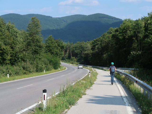 Sabine zwischen Heiligenkreuz und Gaaden