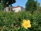 Schloss Mayerling, 326 m