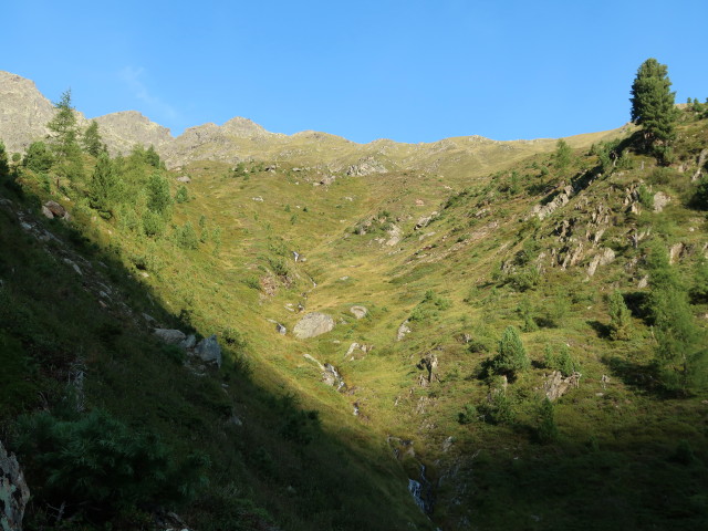 zwischen Felderleite und Mutenkogel (21. Aug.)