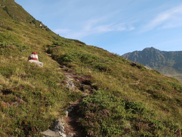 zwischen Felderleite und Mutenkogel (21. Aug.)