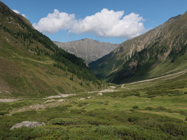 Gleirschtal zwischen Vorderer Gleirschalm und Pforzheimer H&uuml;tte (21. Aug.)