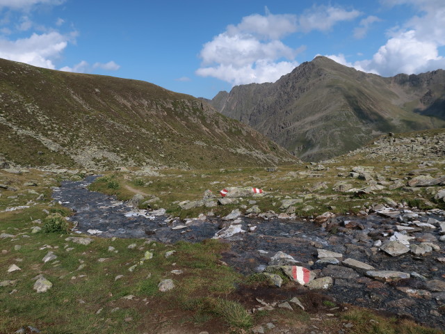 zwischen Pforzheimer Hütte und Rosskar (21. Aug.)