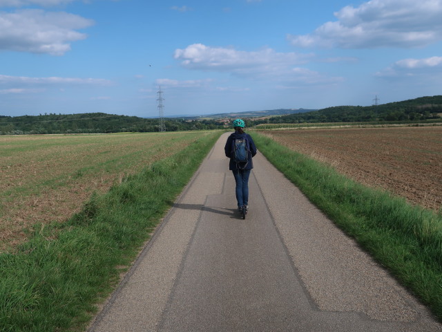 Sabine zwischen Eggenburg und Stoitzendorf