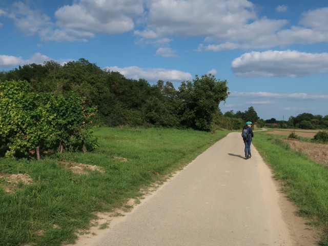 Sabine zwischen Eggenburg und Stoitzendorf