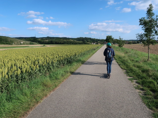 Sabine zwischen Braunsdorf und Goggendorf