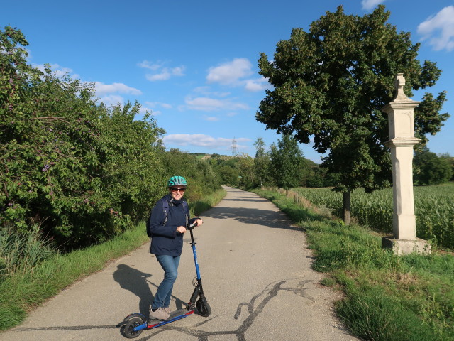 Sabine zwischen Goggendorf und Sitzendorf an der Schmida