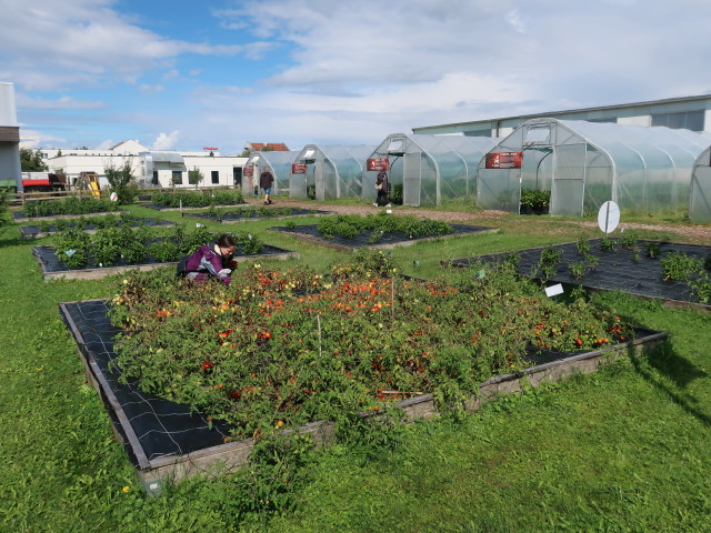 Schaugarten und Gew&auml;chsh&auml;user