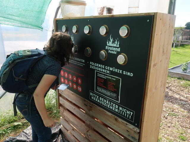 Sabine in den Gew&auml;chsh&auml;usern