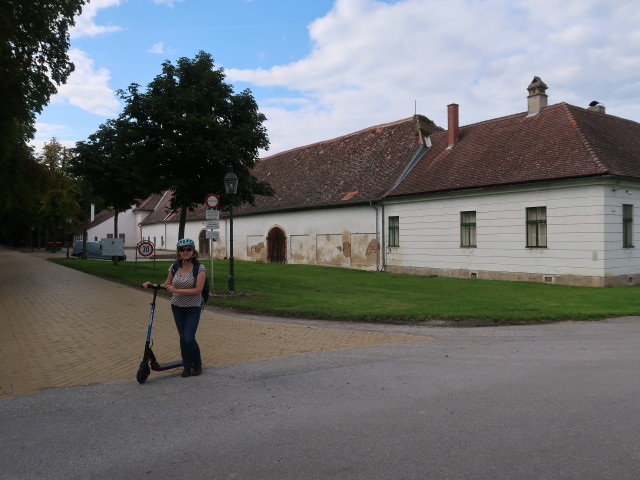 Sabine beim Schloss Sch&ouml;nborn, 196 m