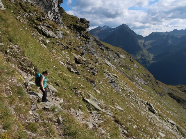 Sabine zwischen Neualmscharte und Preintalerh&uuml;tte (4. Sep.)