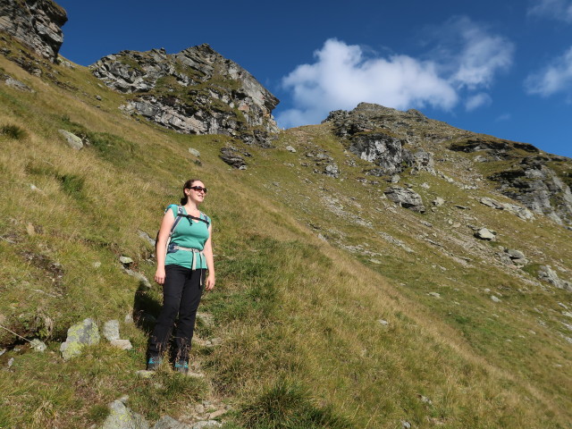 Sabine zwischen Neualmscharte und Preintalerh&uuml;tte (4. Sep.)