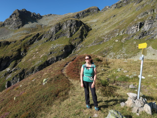 Sabine zwischen Neualmscharte und Preintalerh&uuml;tte (4. Sep.)