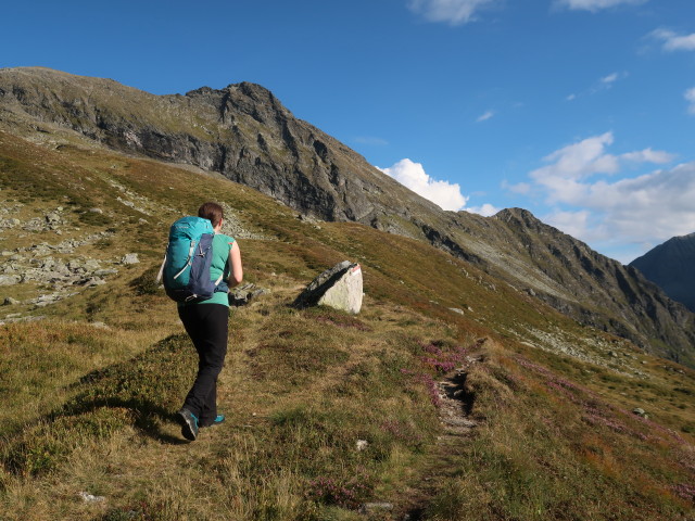 Sabine zwischen Neualmscharte und Preintalerh&uuml;tte (4. Sep.)