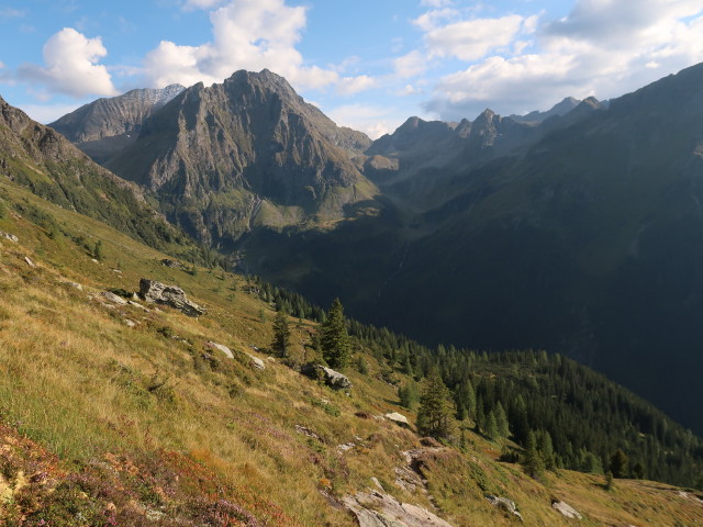 zwischen Neualmscharte und Preintalerh&uuml;tte (4. Sep.)