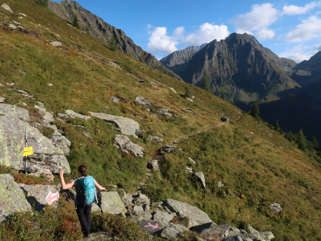 Sabine zwischen Neualmscharte und Preintalerh&uuml;tte (4. Sep.)