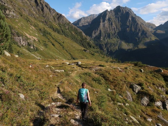 Sabine am Höfersteig zwischen Neualmscharte und Preintalerhütte (4. Sep.)