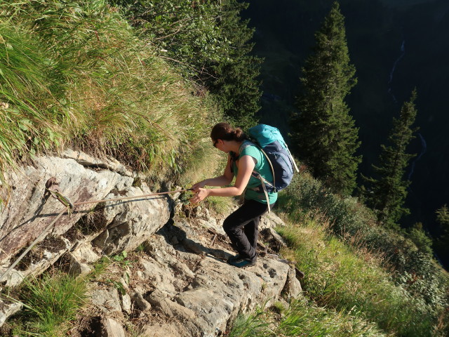 Sabine am Höfersteig zwischen Neualmscharte und Preintalerhütte (4. Sep.)