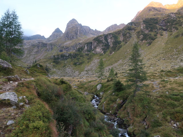 &Auml;u&szlig;eres L&auml;mmerkar (5. Sep.)