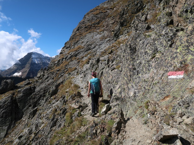 Sabine zwischen Oberer Klafferscharte und Greifenberg (5. Sep.)