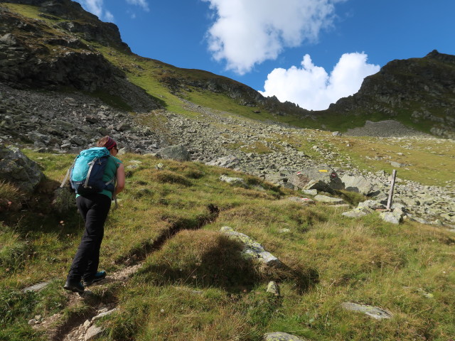 Sabine zwischen Zwerfenbergsee und Waldhornt&ouml;rl (5. Sep.)