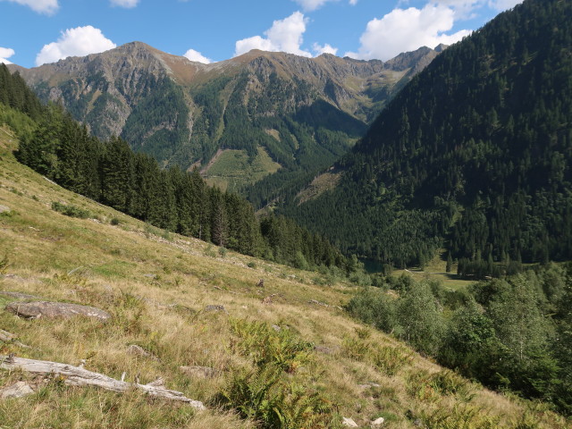 zwischen Steinigboden und Schwabalm (6. Sep.)