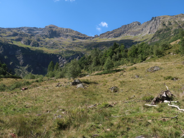 zwischen Steinigboden und Schwabalm (6. Sep.)