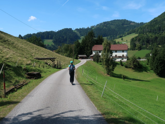 Sabine zwischen K&uuml;pfern und Gro&szlig;raming