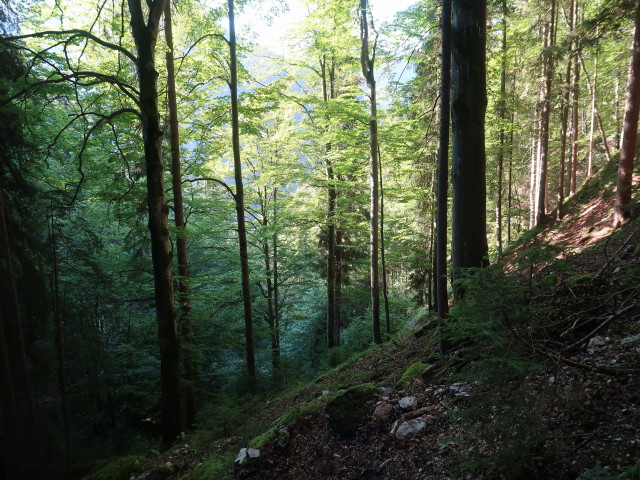 zwischen M&uuml;rztal und Falkensteinwand