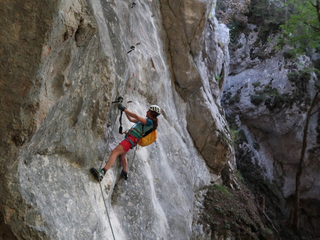 Falkenstein-Klettersteig: Romana in der schwierigen Variante