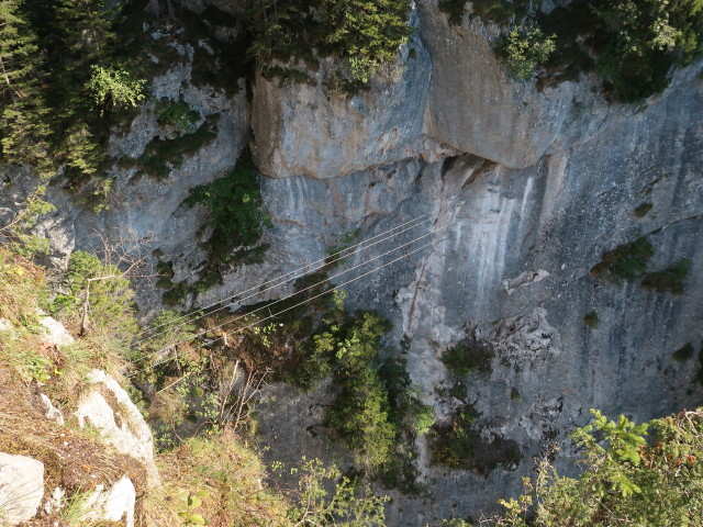 Falkenstein-Klettersteig: Seilbr&uuml;cke in der leichten Variante