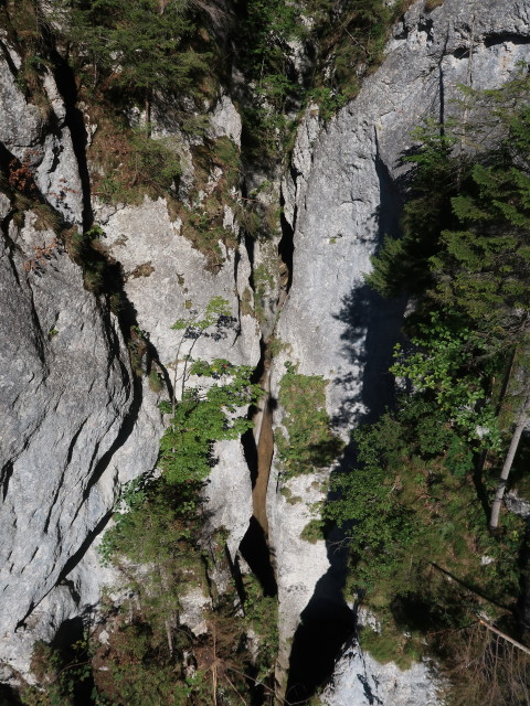 Falkenstein-Klettersteig: unterhalb der Seilbrücke in der leichten Variante