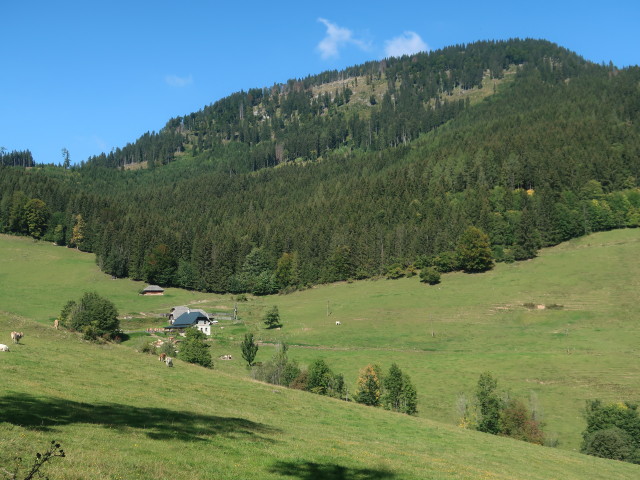 Falkensteinalm, 959 m