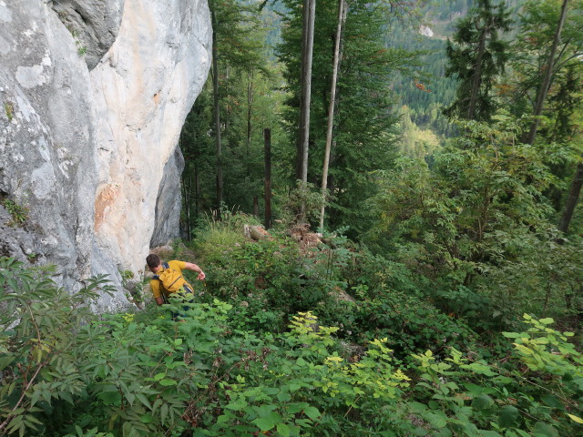 Stefan zwischen Falkensteinalm und M&uuml;rztal