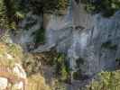 Falkenstein-Klettersteig: Seilbrücke in der leichten Variante