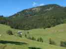 Falkensteinalm, 959 m