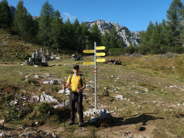 David zwischen Siebenh&uuml;tte und Kniepssattel