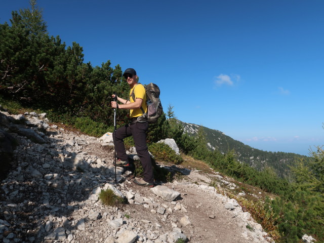 David zwischen Siebenh&uuml;tte und Kniepssattel