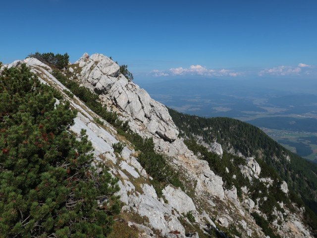 zwischen Knieps und Feistritzer Spitze