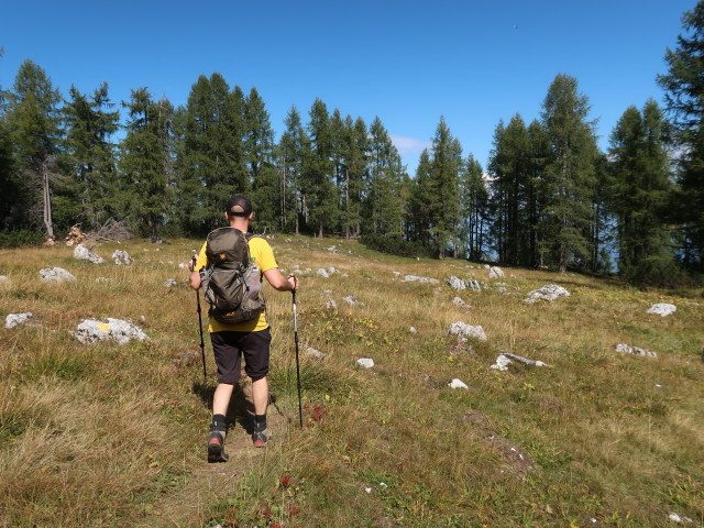 David zwischen Feistritzer Spitze und Krischah&uuml;tte