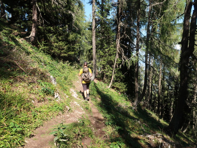 David zwischen Feistritzer Spitze und Krischah&uuml;tte