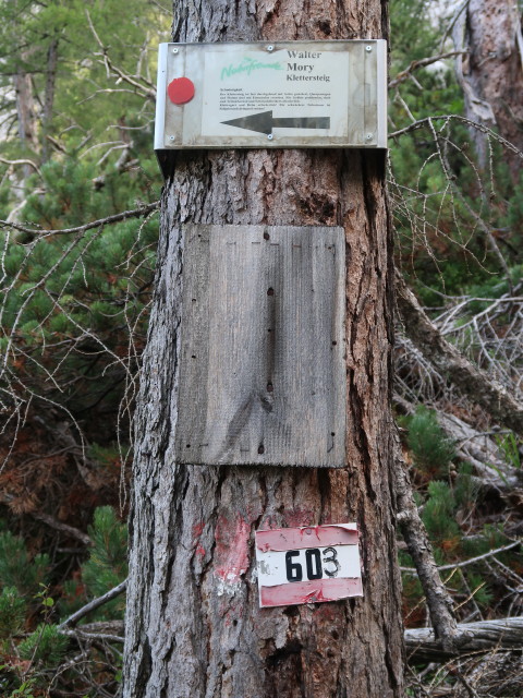 zwischen Krischah&uuml;tte und Walter-Mory-Klettersteig