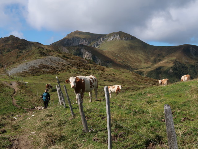 Sarah zwischen Hochkasern und Hundstein