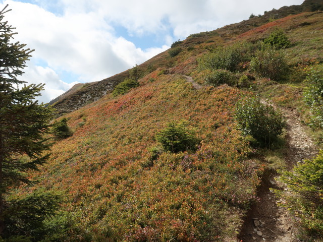 zwischen Hochkasern und Hundstein