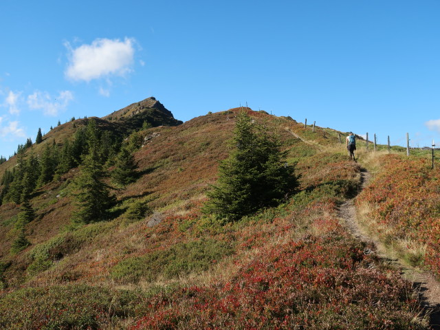 Sarah zwischen Hundstein und Sch&ouml;nwieskopf