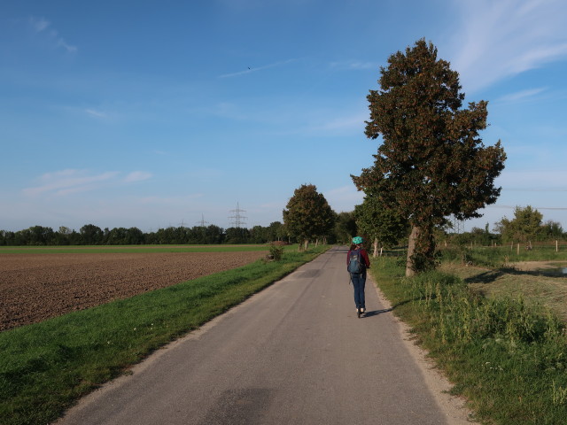 Sabine zwischen M&uuml;nchendorf und Himberg